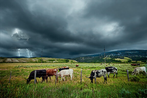 Texas is tops in storm intensity