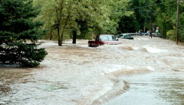 A forest flooding. AEM flood risk management weather solutions can help.